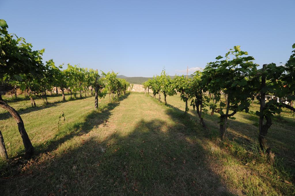Agriturismo Scorgiano Exterior foto
